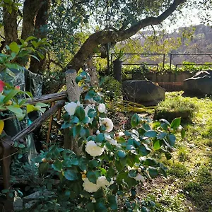 Cassia, Luminoso Open Space Nel , Casa Dei Leoni Roma